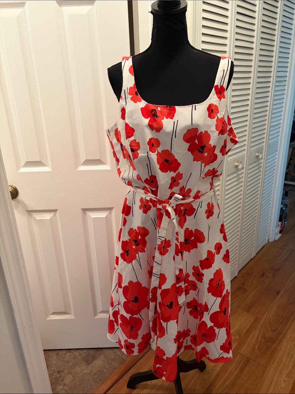Breakin’ Loose Poppy Tie Waist Sundress